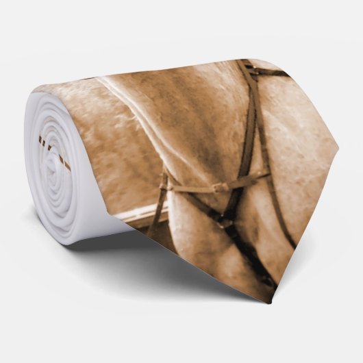 繋駕競走のタイ ネクタイ (ロール)