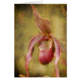 織り目加工の女性スリッパ蘭