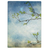 織り目加工の空上のツリーブランチ クリップボード (裏面)