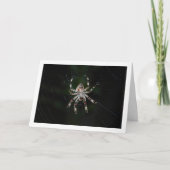 織機スパイダー カード (正面)