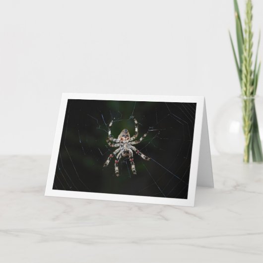 織機スパイダー カード (正面)