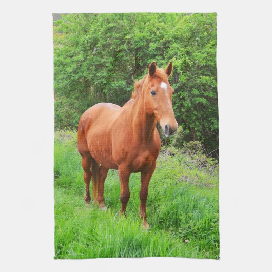 織音 キッチンタオル (縦)