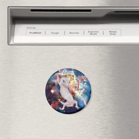 織音 マグネット (インサイチュ (食洗機))