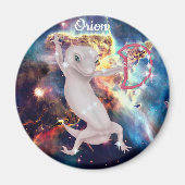 織音 マグネット (正面)