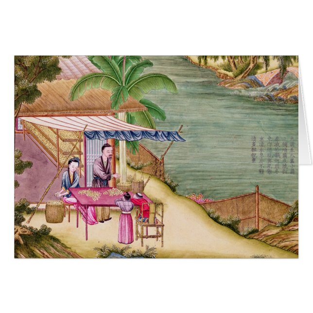 繭の分類 (正面横)