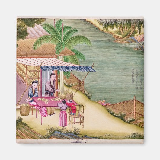 繭を分類する マグネット (正面)