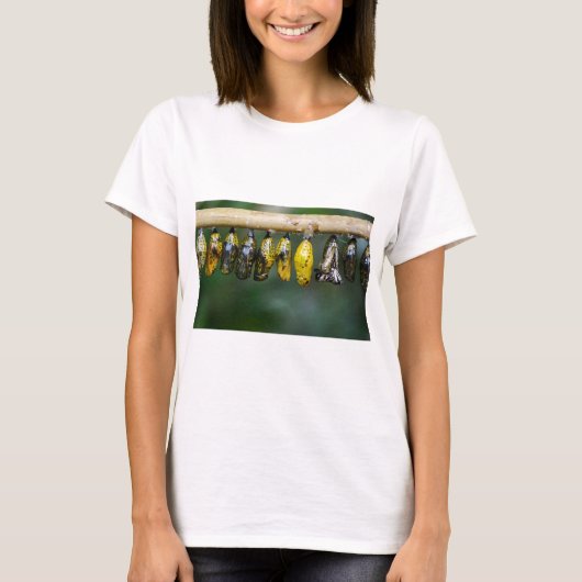 繭カラフル寿命 Tシャツ (正面)