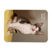 缶の開いた猫ユーモアのある磁石 マグネット (横)