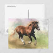 缶詰の葉はがき ポストカード (正面/裏面)