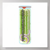 缶詰の食べ物 – Picked Asparagus ポスター (正面)