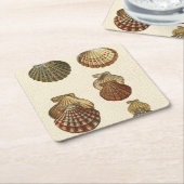 罅割れた旧式な貝 スクエアペーパーコースター (アングル)