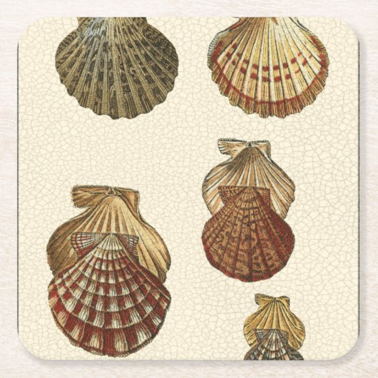 罅割れた旧式な貝 スクエアペーパーコースター (正面)