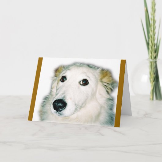 罪がある犬 カード (正面)