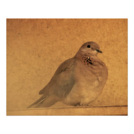 罪のない瞬間 ポスター