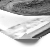 罪のない鳩 ポスター (角)