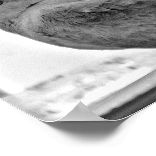 罪のない鳩 ポスター (角)