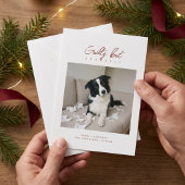 罪悪感たっぷりかわいい犬の写真 クリスマス