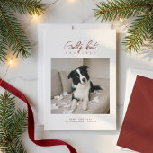 罪悪感たっぷりかわいい犬の写真 クリスマス