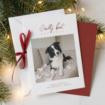 罪悪感たっぷりかわいい犬の写真 クリスマス
