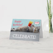 罪深い猫おもしろい誕生日 カード (正面)