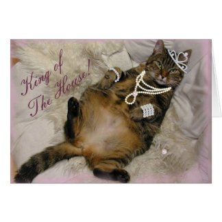 置いているだめにされたプリンセスCAT