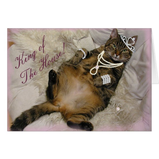 置いているだめにされたプリンセスCAT (正面横)