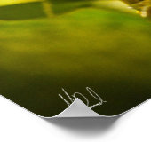 署名入りグリーンとゴールデンベルカエルのポスター ポスター (角)