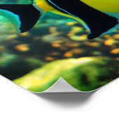 署名入りロングフィンのバナーフィッシュ ポスター (角)