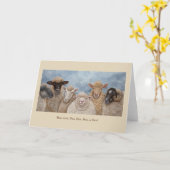 羊おもしろいのグリーティングカード カード (黄色い花)