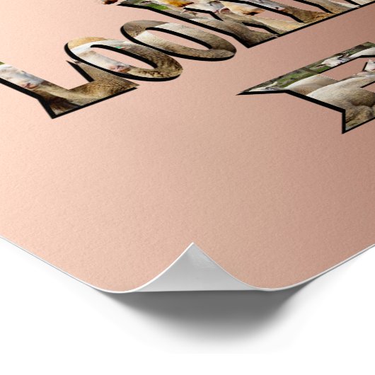 羊おもしろいのプンEweを探して,ポスター ポスター (角)