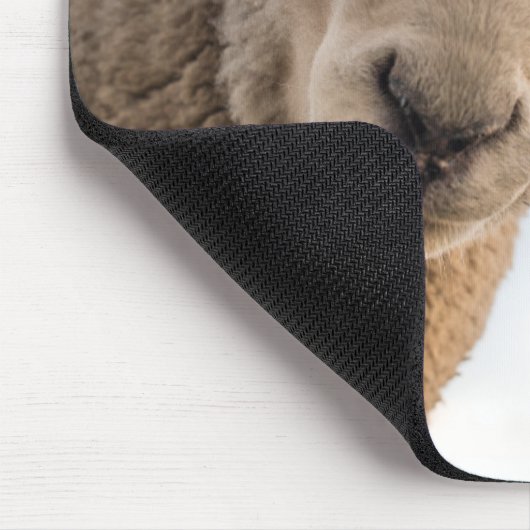 羊おもしろいのユーモアを見ているもの マウスパッド (コーナー)