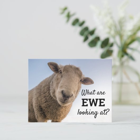 羊おもしろいを見ているもの ポストカード (スタンド正面)