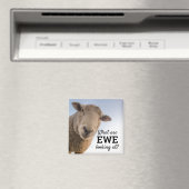 羊おもしろいを見ているもの マグネット (インサイチュ (食洗機))