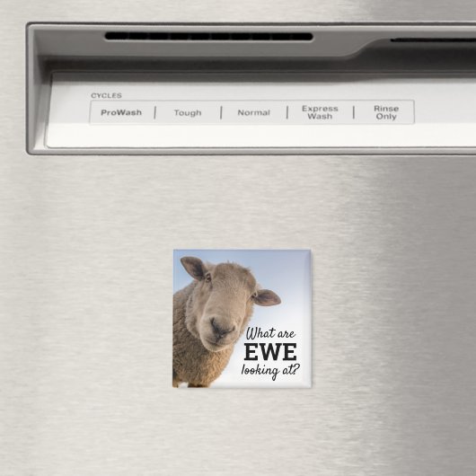 羊おもしろいを見ているもの マグネット (インサイチュ (食洗機))