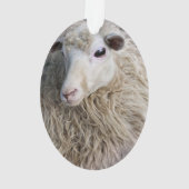 羊おもしろい オーナメント (裏面)