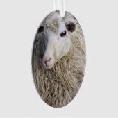 羊おもしろい オーナメント (正面)