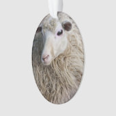 羊おもしろい オーナメント (正面)