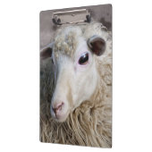 羊おもしろい クリップボード (左)