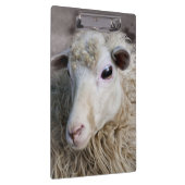 羊おもしろい クリップボード (右)