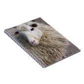 羊おもしろい ノートブック (右側)