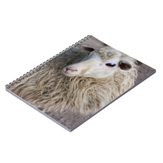 羊おもしろい ノートブック (左側)