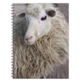 羊おもしろい ノートブック (正面)