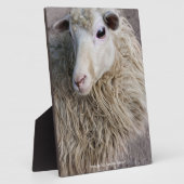 羊おもしろい フォトプラーク (側面)