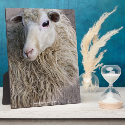 羊おもしろい フォトプラーク (側面)