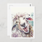 羊が幸せそう ポストカード (正面/裏面)