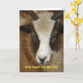 羊が私の人生を照らす誕生日 カード (黄色い花)