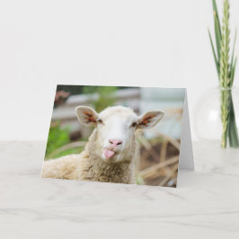 羊が舌を出す シーズンカード