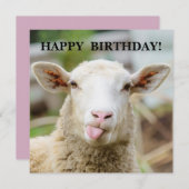 羊が舌を出す シーズンカード (正面/裏面)