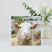 羊が舌を出す シーズンカード (スタンド正面)