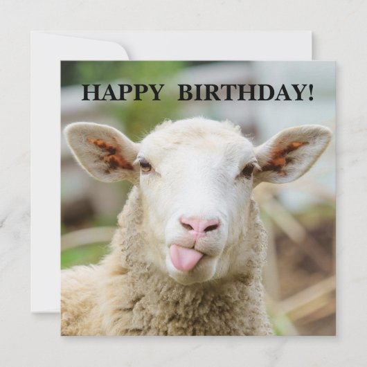 羊が舌を出す シーズンカード (正面)